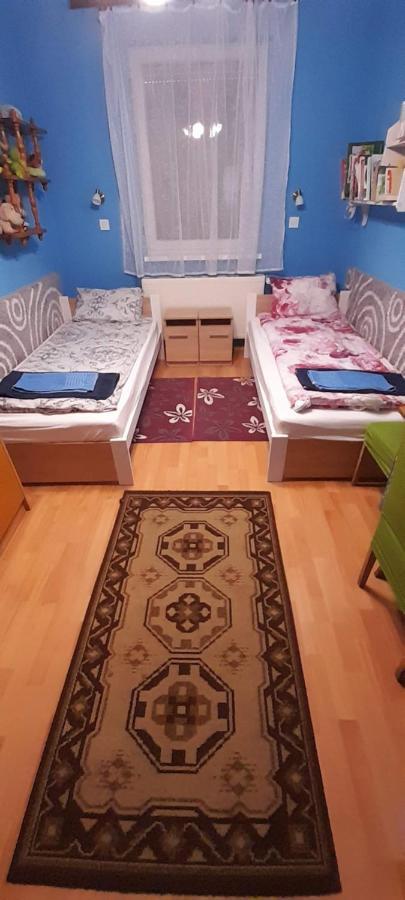 Willa Oeregakac Vendeghaz Tiszaladány Zewnętrze zdjęcie